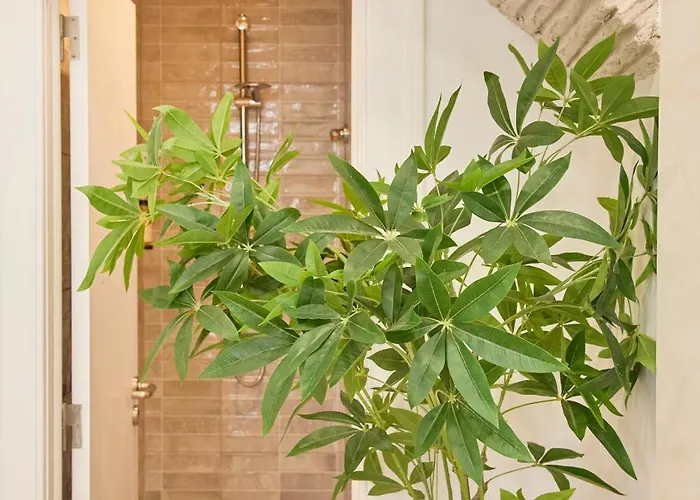 Cozy Corner Alfama By Msapartments * Lisboa